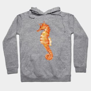 Cute watercolor orange seahorse Hoodie